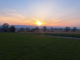 fliegen0903 20